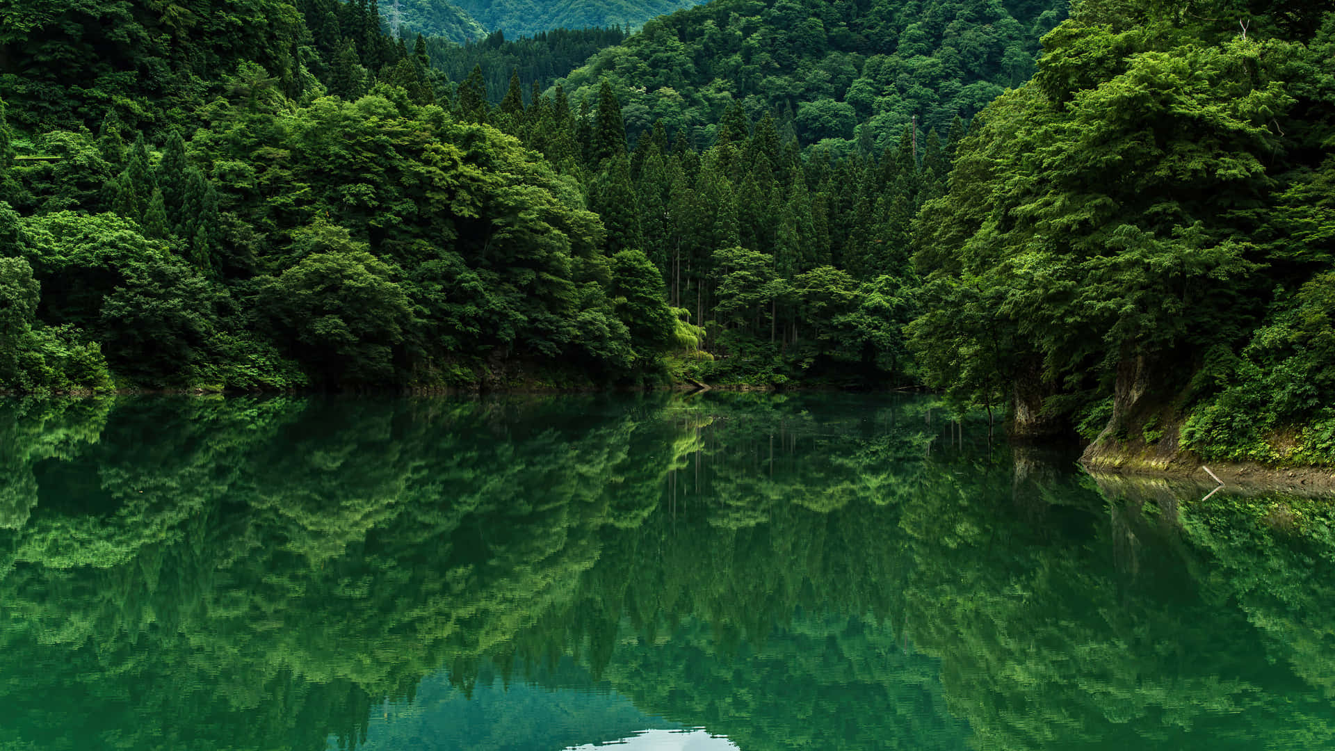 Green Forest 桌布 壁紙 — 寧靜的翡翠綠湖面倒映著茂密的綠色森林和起伏的丘陵，在柔和的光線下。