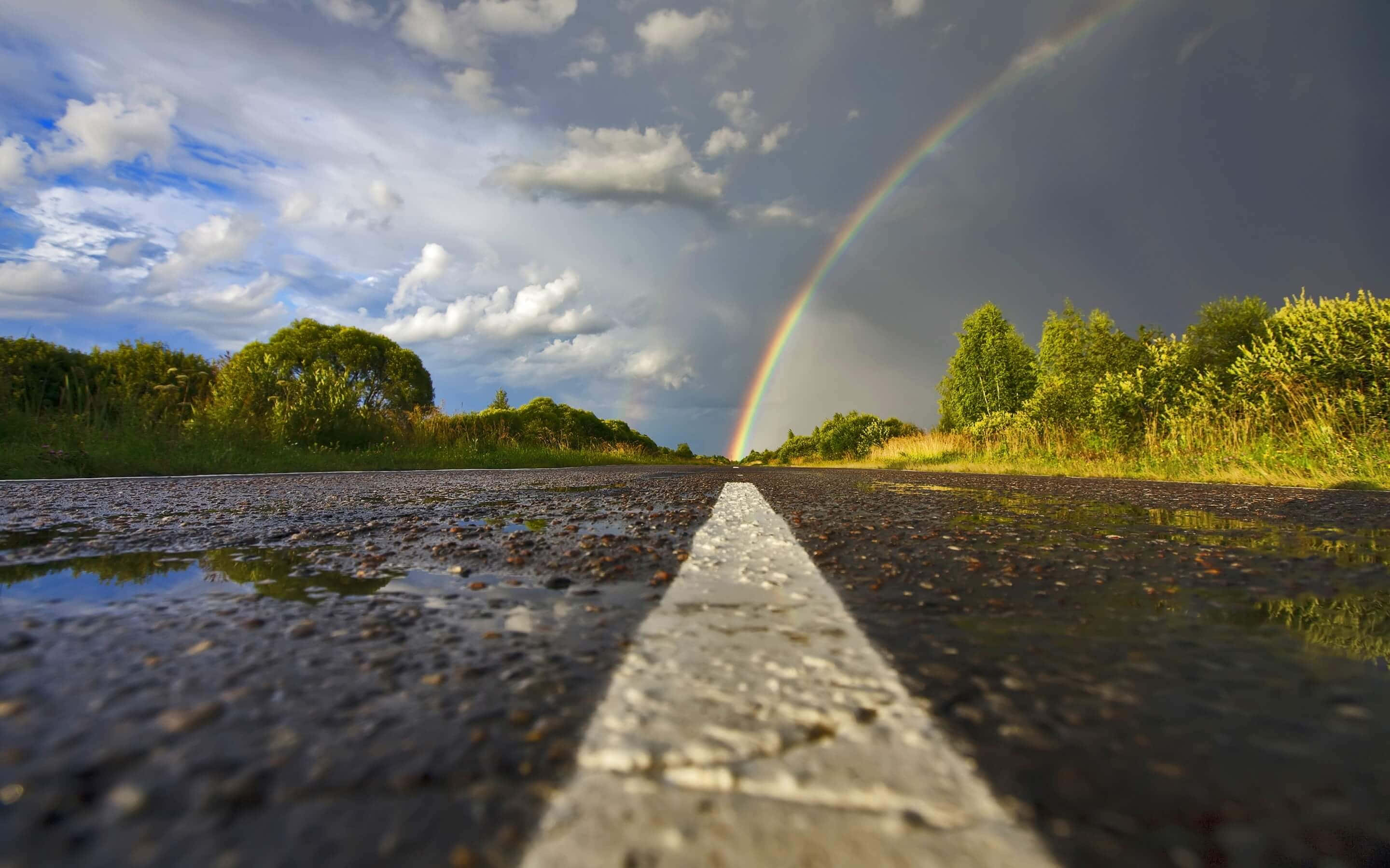 寧靜的雨日時光 壁紙 — 一條濕漉漉的道路延伸向一道在陰天綠樹上方拱起的鮮豔彩虹。