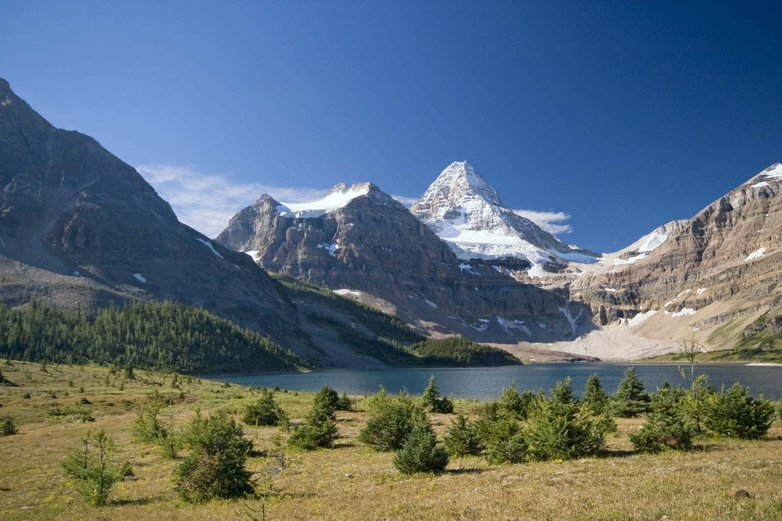 Canada 桌布 壁紙 — 寧靜的高山湖映照著白雪覆蓋的山峰，在清澈的藍天下，前景點綴著散落的常綠樹。