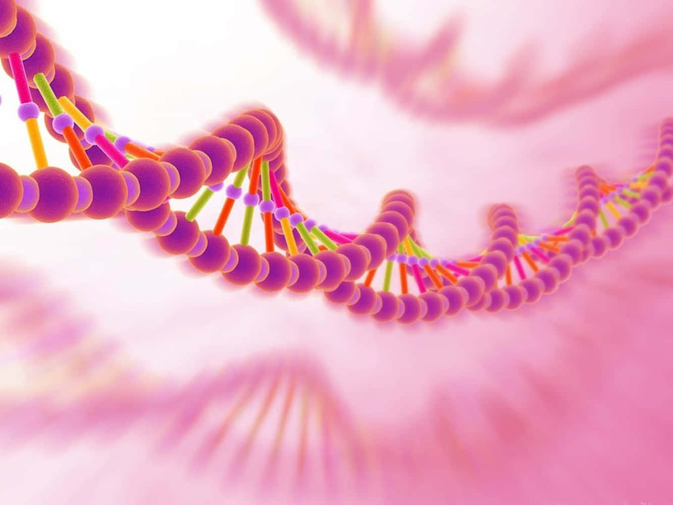 寧靜禪意療癒桌面 壁紙 — 一條充滿活力的3D渲染雙螺旋DNA鏈，帶有彩色核苷酸，在柔和的粉紅色發光背景中螺旋前進。