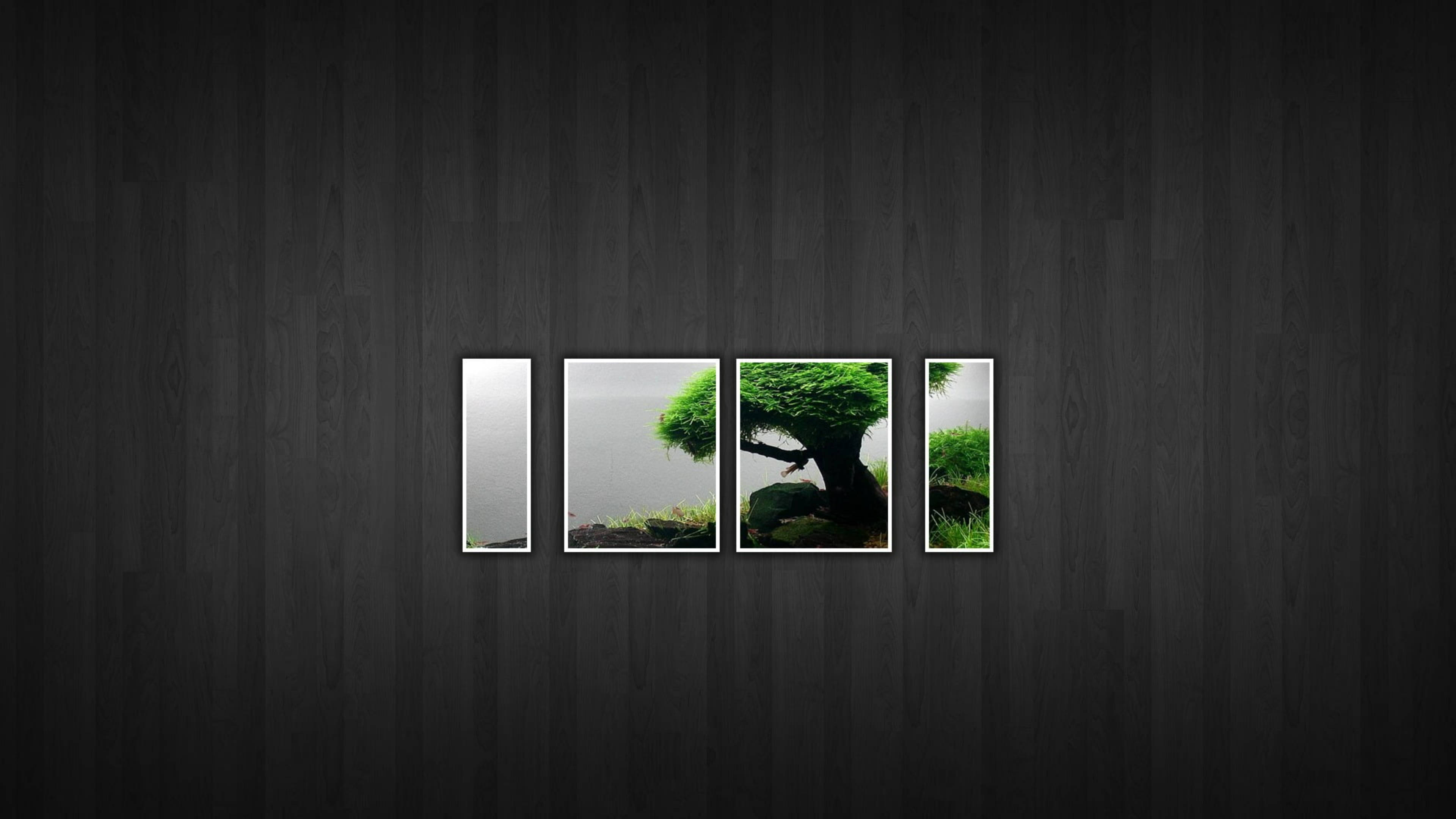 寧靜秋日風景 壁紙 — 四幅茂盛綠色盆栽樹在水邊的裱框照片掛在深色木牆上。