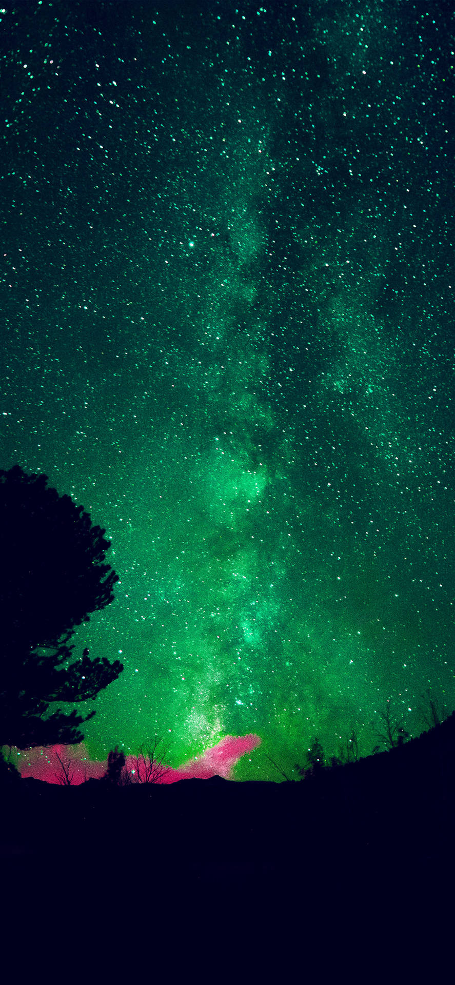 夜晚，綠色星系和粉紅色星雲位於黑暗樹木剪影之上。