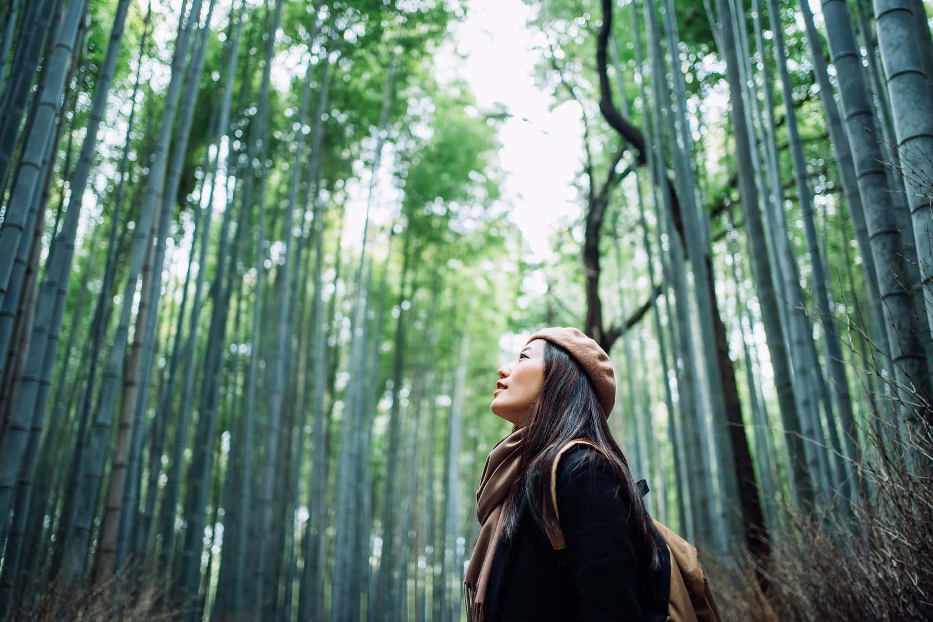 戴貝雷帽的女性站在竹林中，仰望高大的綠色竹竿。