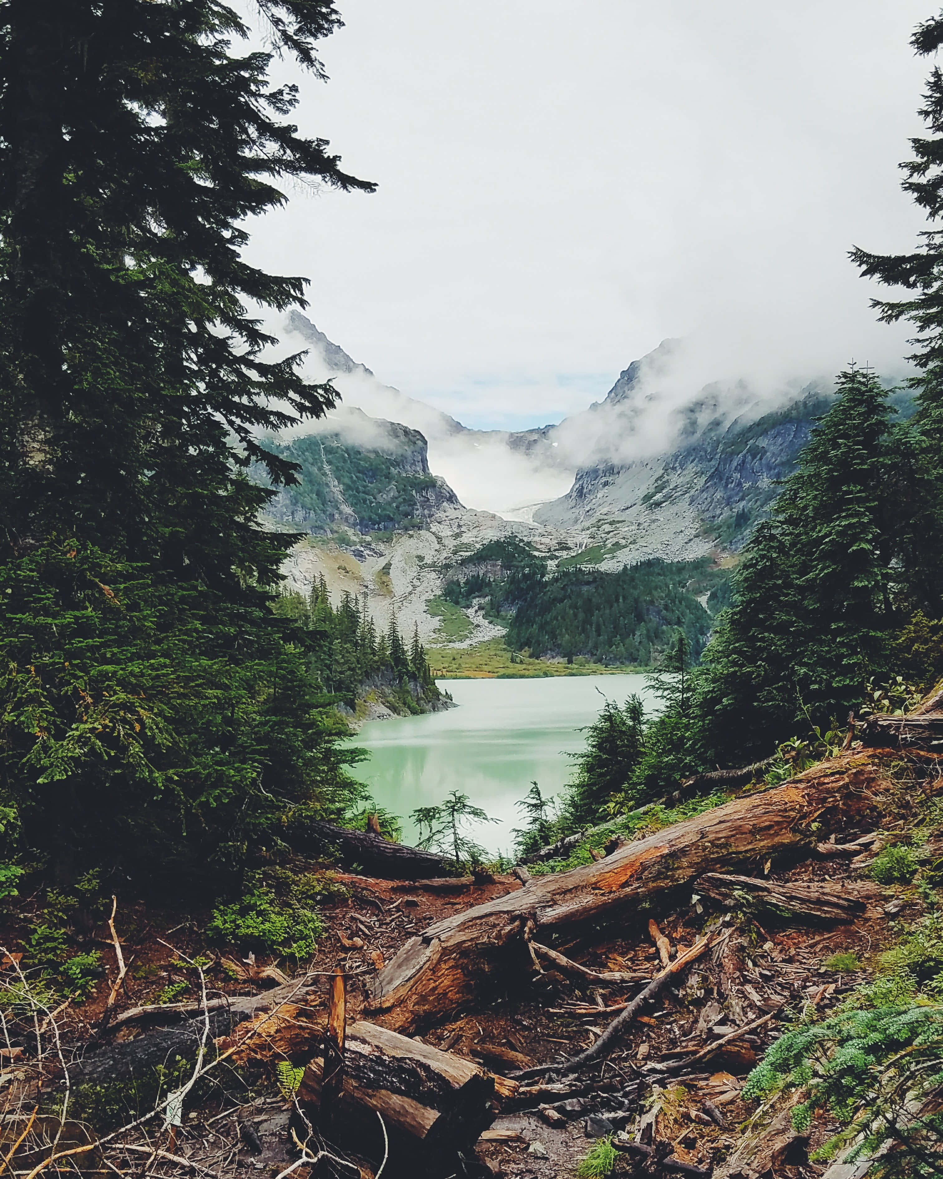 寧靜自然風景 壁紙 — 霧氣籠罩的山間湖泊，四周環繞著高聳的常綠樹，前景有一根倒下的圓木。