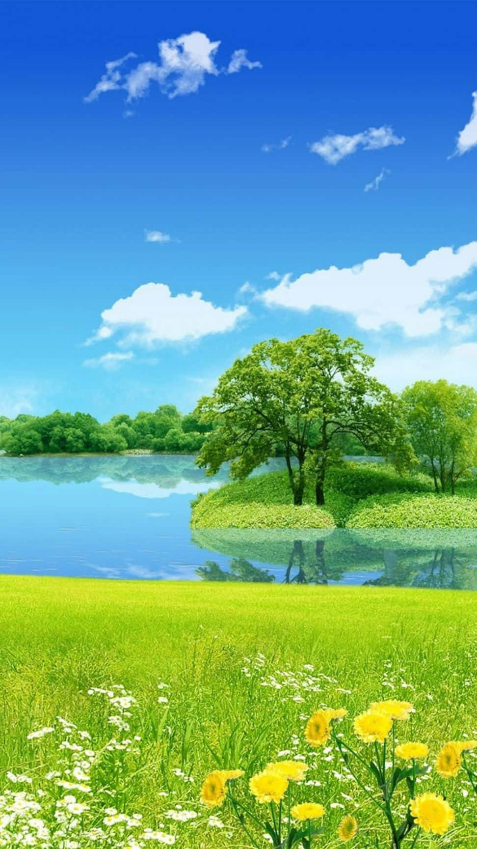 在藍天白雲下，平靜的湖泊旁，一片茂盛的綠色草地上開滿了黃色和白色的花朵。