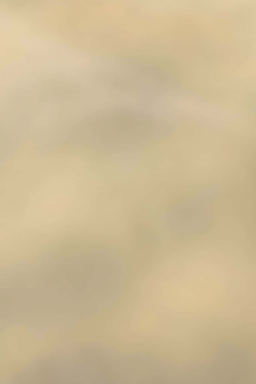 寧靜親切的淺米色背景 壁紙 — 柔和的米色和奶油色抽象漸變，帶有微妙的模糊圓形，營造出平靜的極簡背景。