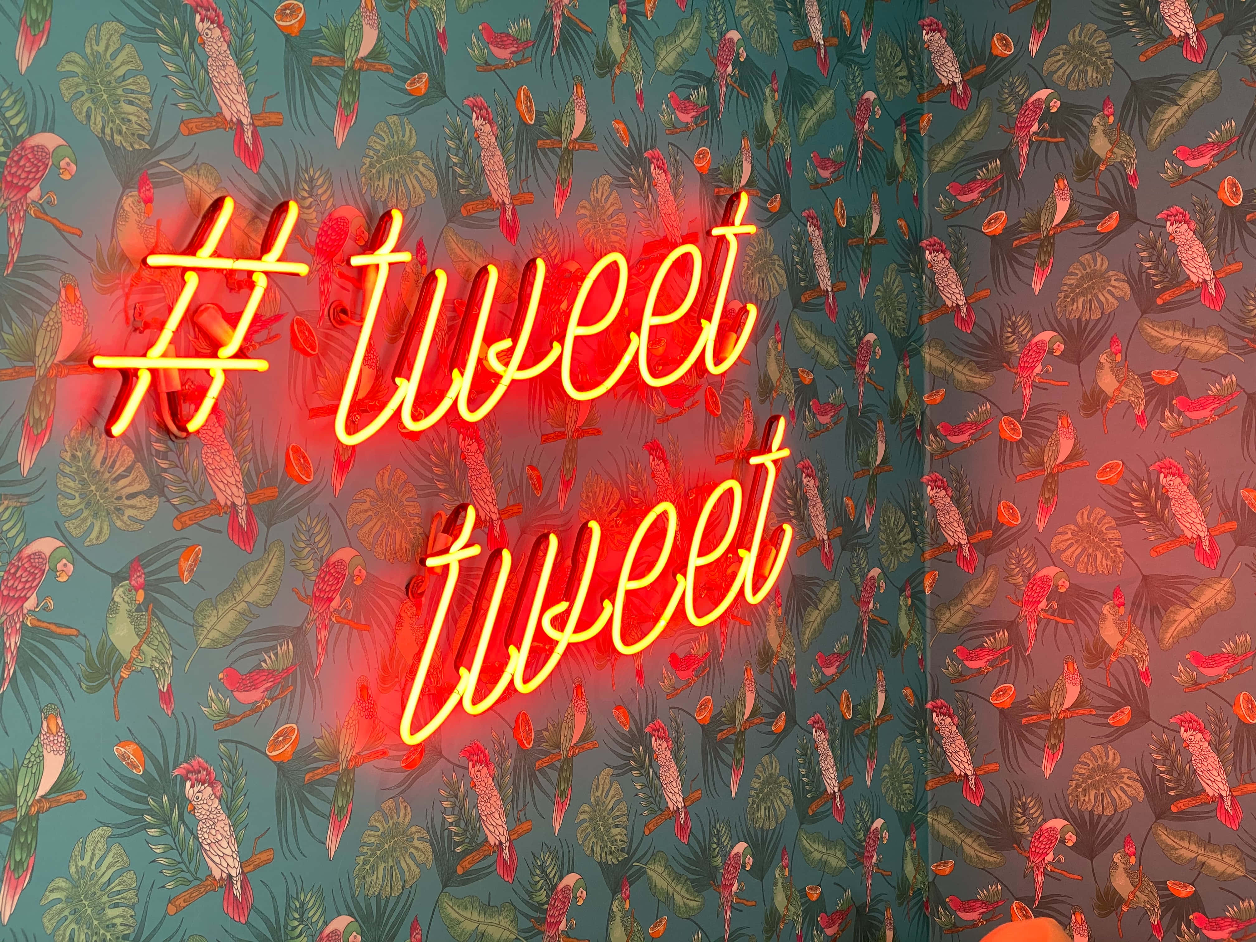 Twitter Header 桌布 壁紙 — 寫有 hashtag tweet tweet 的鮮豔霓虹燈牌，在熱帶鸚鵡和樹葉圖案的牆紙上發光。
