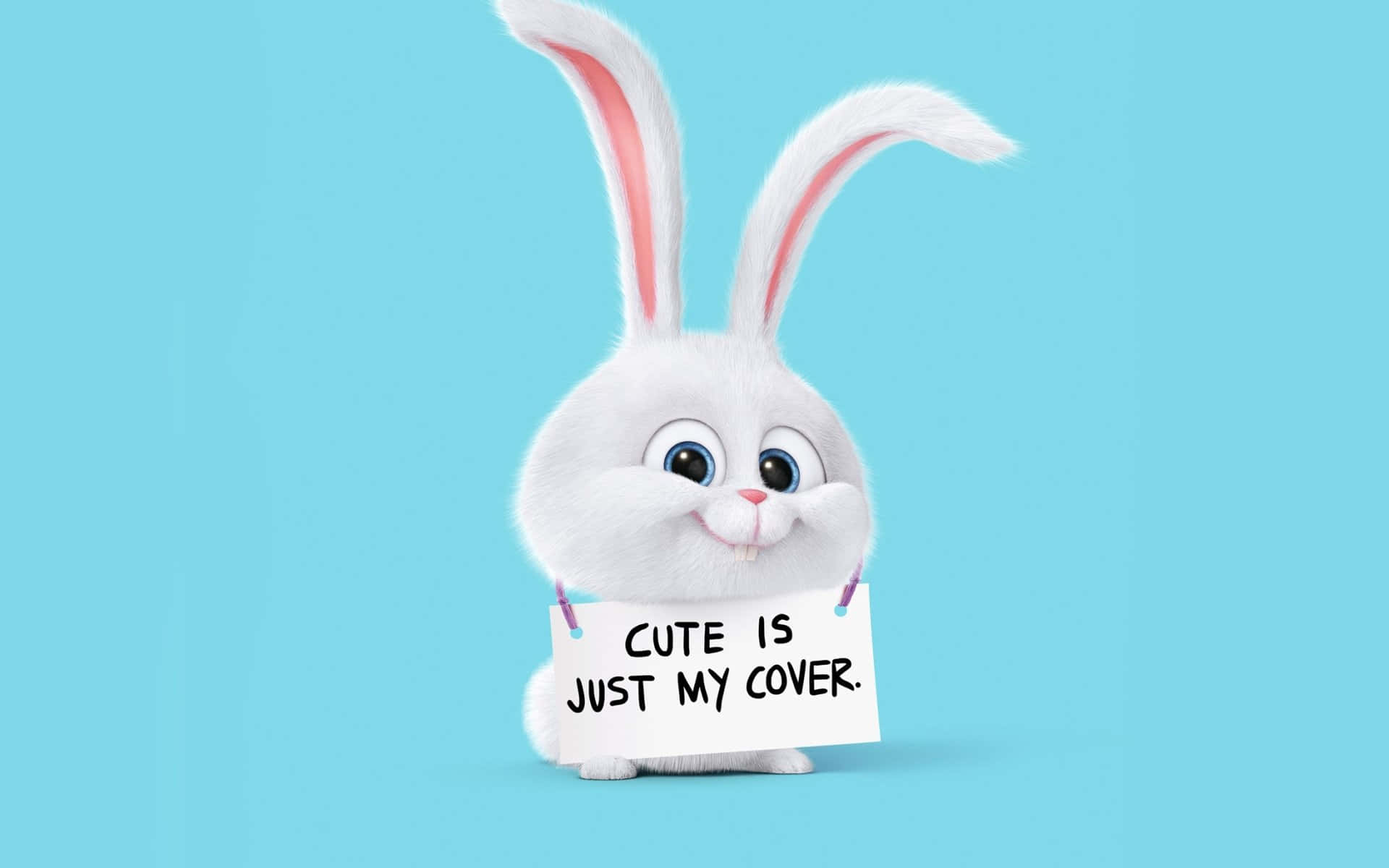 一隻3D兔子舉著一個寫有「Cute is just my cover」的牌子。 — 嬰兒藍 壁紙