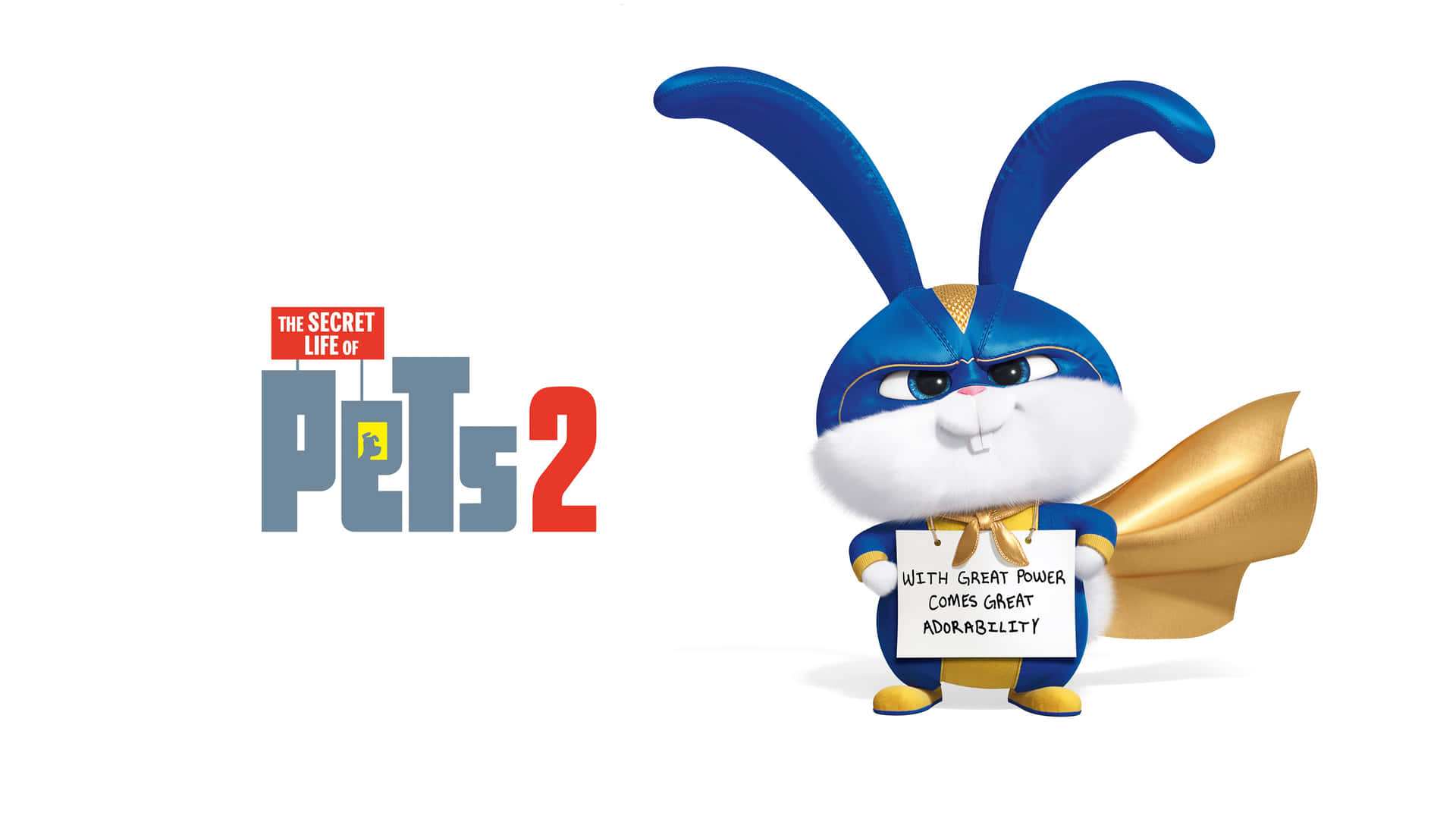 超級英雄兔子舉著寫有電影名稱《Pet Pet當家2》的牌子 — 兔子 壁紙