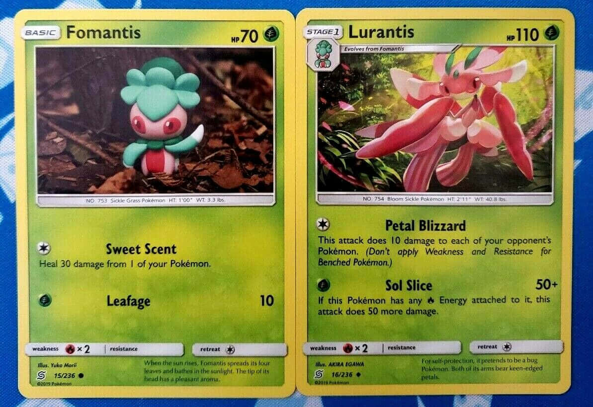 寶可夢 Fomantis 遊戲卡收藏品 壁紙 — 兩張寶可夢集換式卡牌， featuring 偽螳草和蘭螳花，背景為藍色圖案。