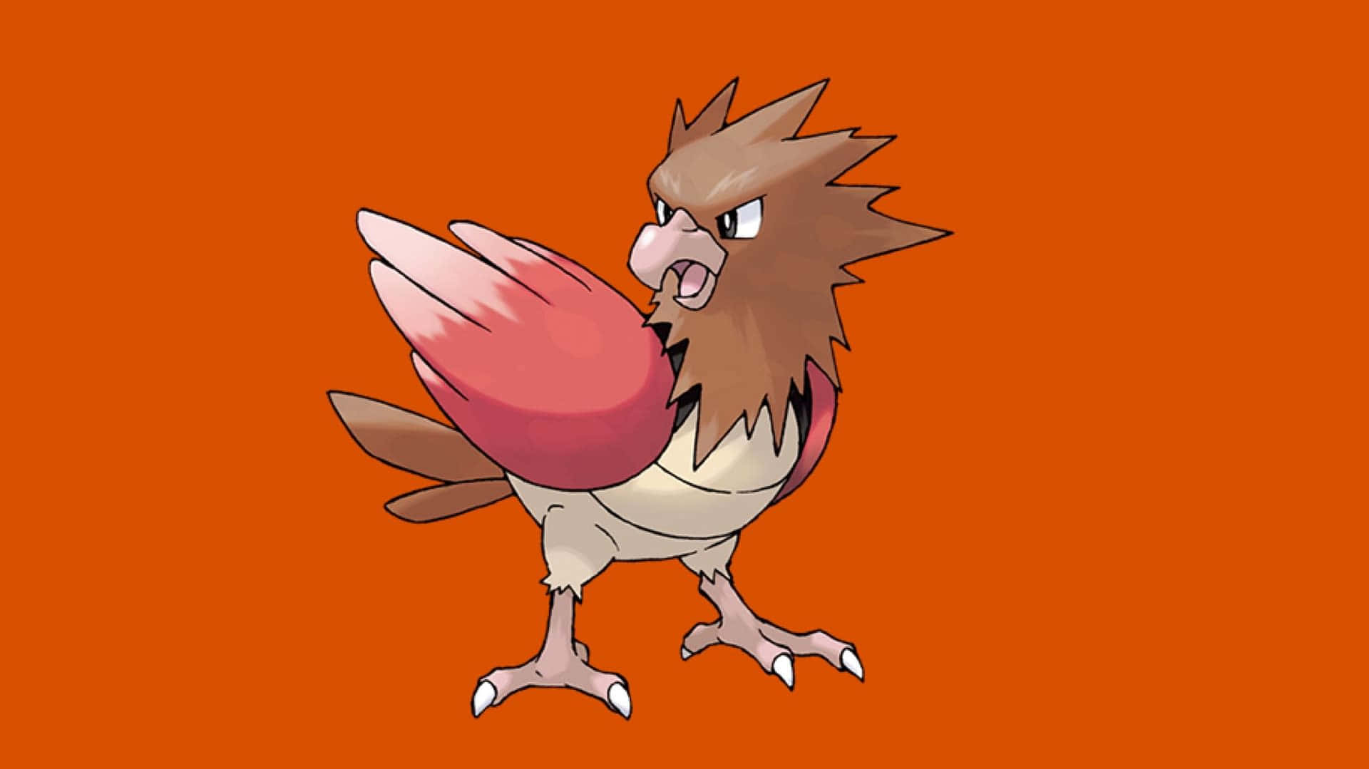 寶可夢 Spearow 橙色背景圖 壁紙 — 一隻兇猛的卡通鳥類寶可夢，擁有棕色尖刺羽毛和紅色翅膀，站在純橙色背景前。