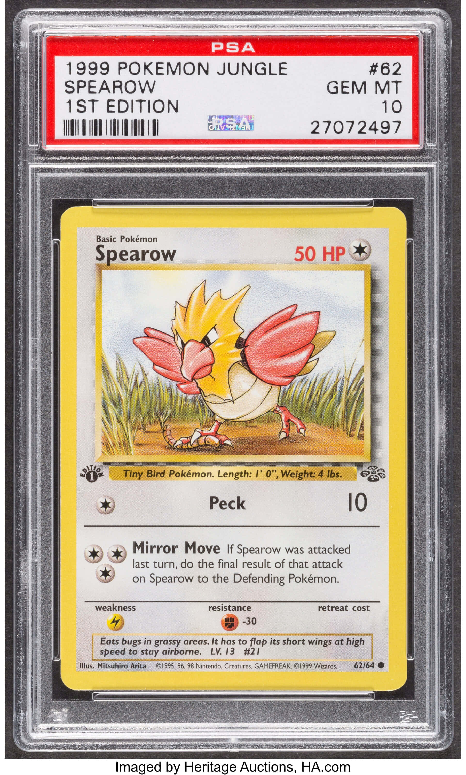 寶可夢 Spearow 集換式卡牌與保護盒 壁紙 — 一張1999年寶可夢叢林烈雀卡，裝在PSA Gem Mint 10評級保護殼中，帶有草地上鳥類寶可夢的鮮豔藝術作品。