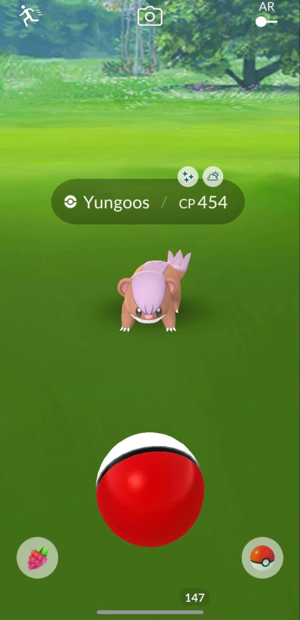 寶可夢訓練家遇見 Yungoos 壁紙 — 一隻貓鼬少企喺明亮嘅綠色田野入面，下面有個精靈球浮緊準備捉佢。