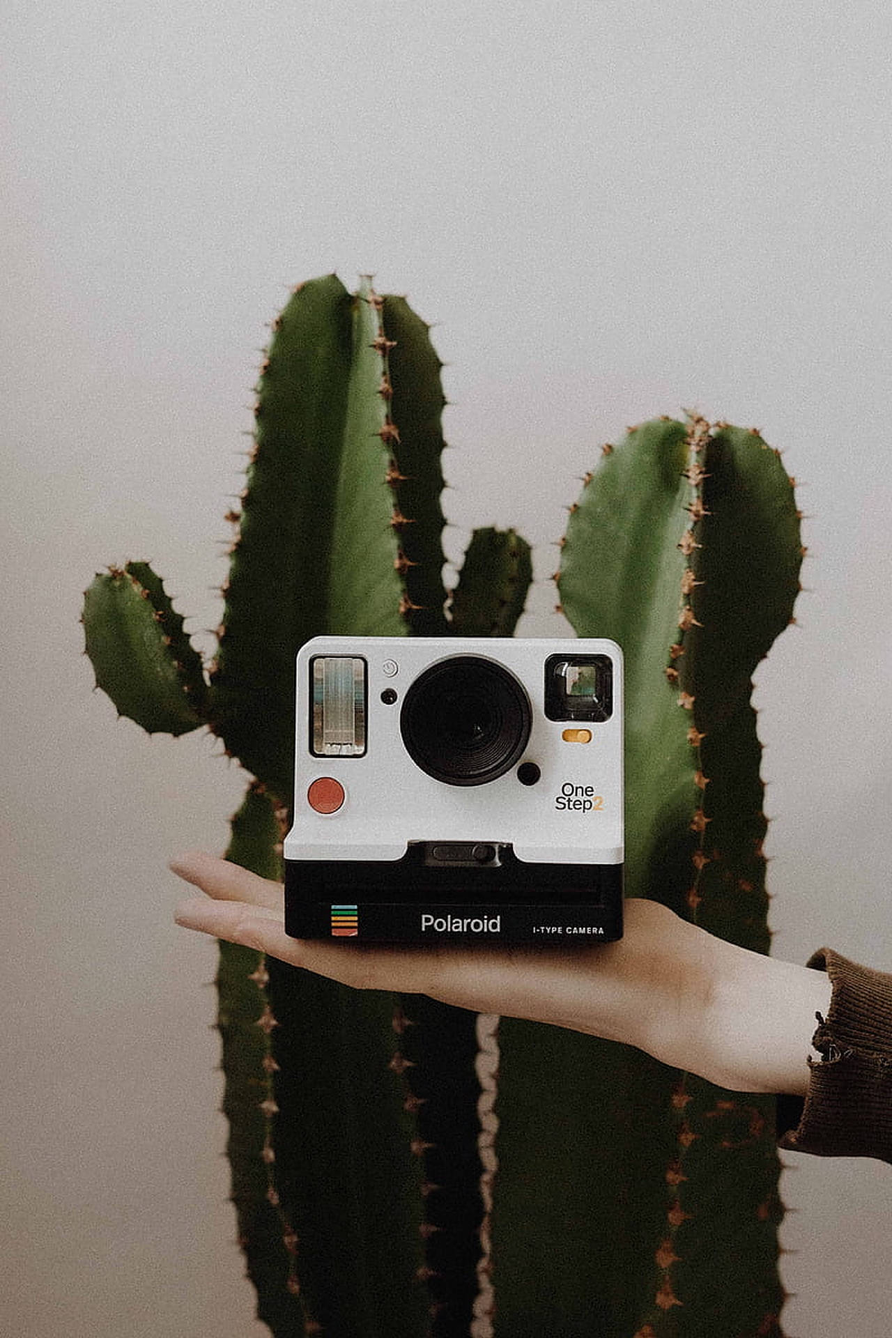 手喺仙人掌前面揸住一部Polaroid相機。