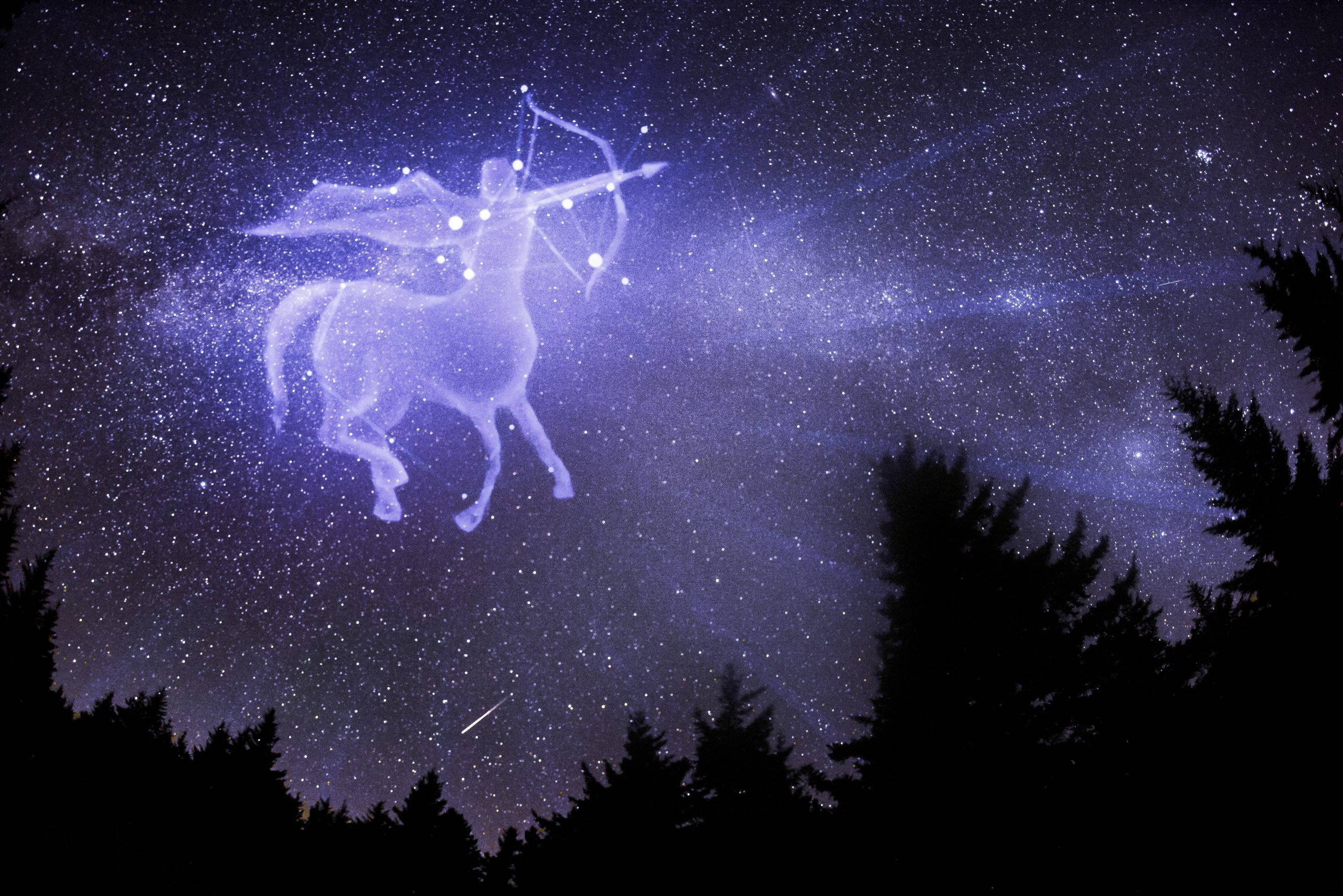 射手座星弓箭手 壁紙 — 一個發光的人馬座星座在佈滿星星的紫色夜空上彎曲，越過黑暗的松樹剪影。