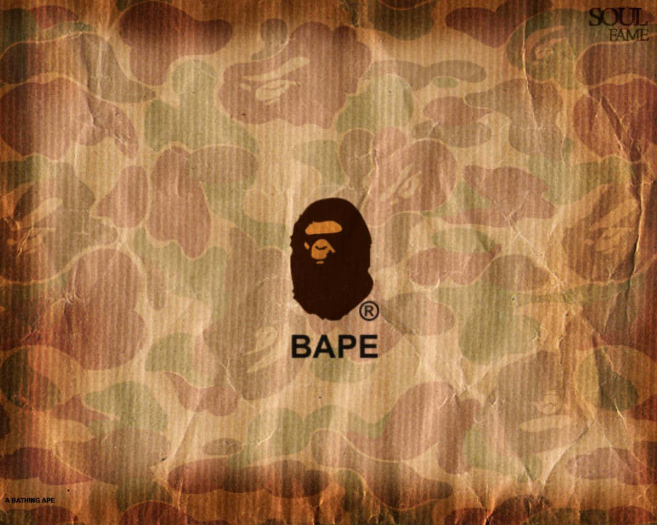 BAPE標誌在迷彩背景上，帶有紋理紙張效果。