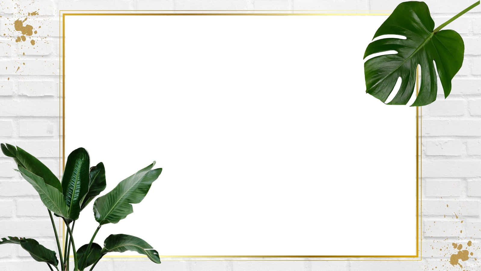 🌿 將自然帶入室內 壁紙 — 一個金色邊框的白色空間，裝飾著茂盛的綠色龜背竹和天堂鳥葉子，背景是帶有金色潑濺的白色磚牆。