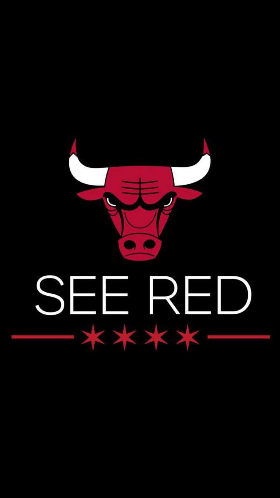 芝加哥公牛隊標誌，黑色背景上有「SEE RED」文字和四顆星星。