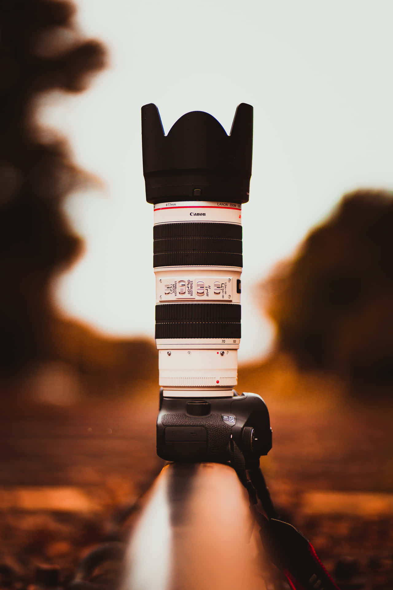 日落時分，一部帶鏡頭的 DSLR 相機站立在反光表面上 — 相機 壁紙