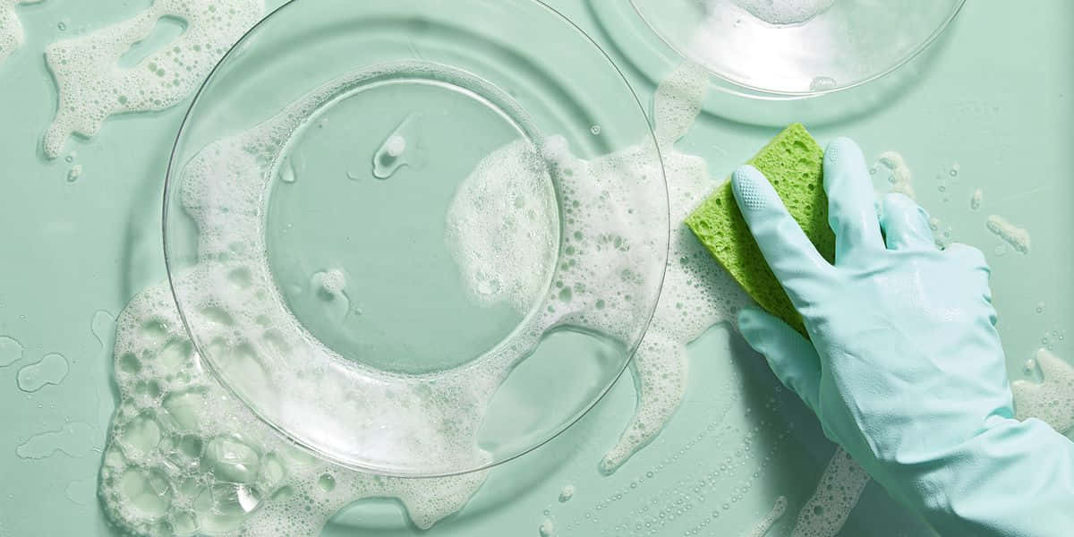 戴著藍色手套的手在肥皂水中用綠色海綿擦洗玻璃碟。