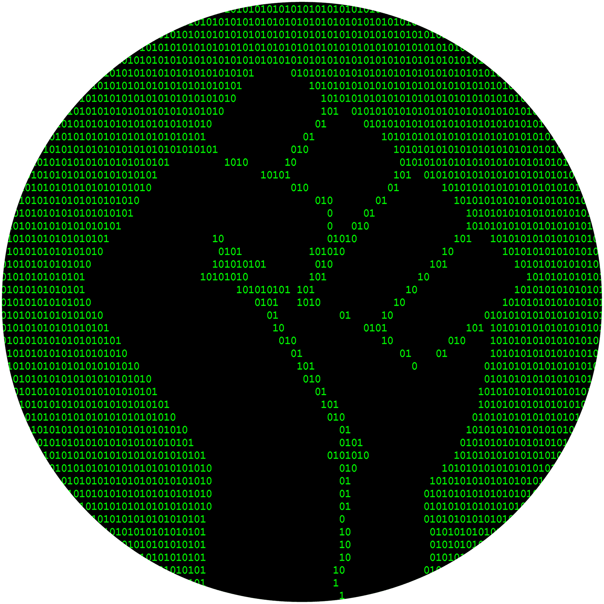 專業程式設計師在現代化辦公室專注開發程式