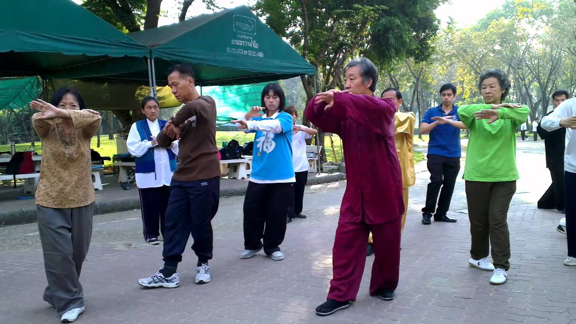 專注的八卦掌練習者集體訓練 壁紙 — 一群人在公園裡，在陽光明媚的日子裡，在綠色樹蔭下練習同步太極拳。