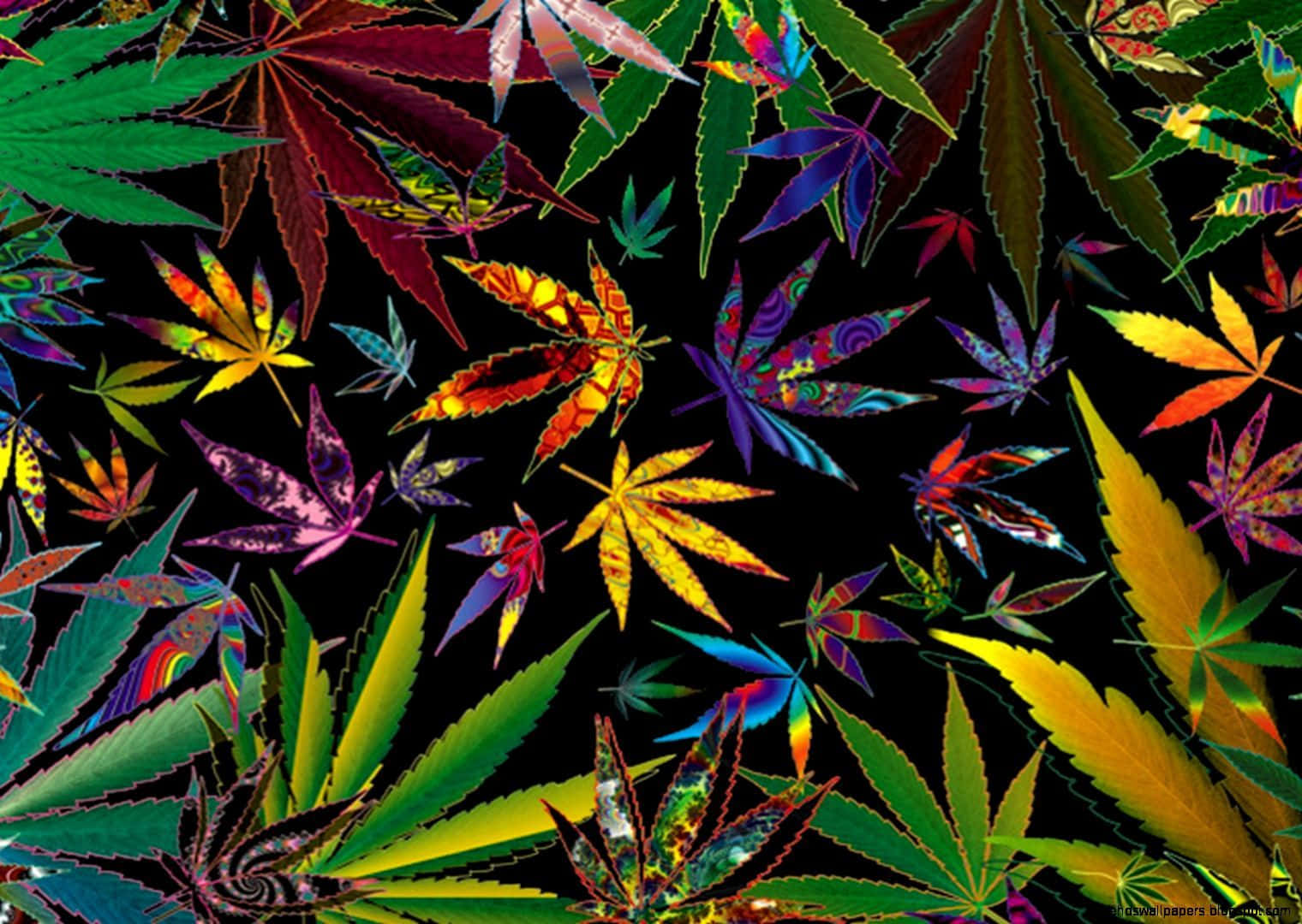 黑色背景上色彩繽紛發光的大麻葉