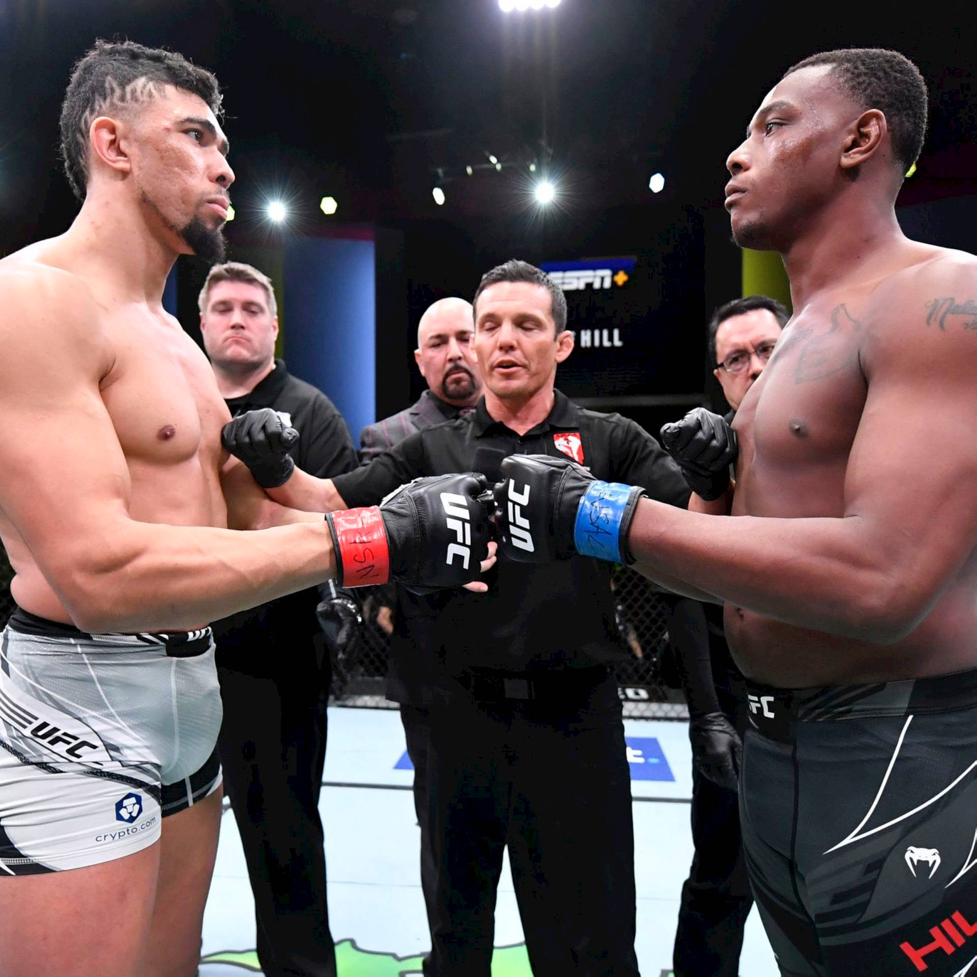 兩位MMA拳手在裁判監督下於UFC八角籠中對峙。