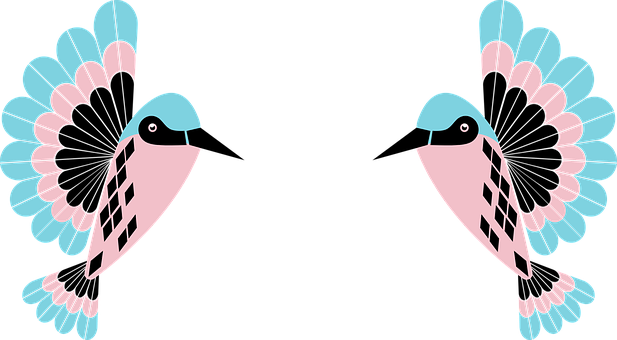 對稱抽象蜂鳥藝術 壁紙