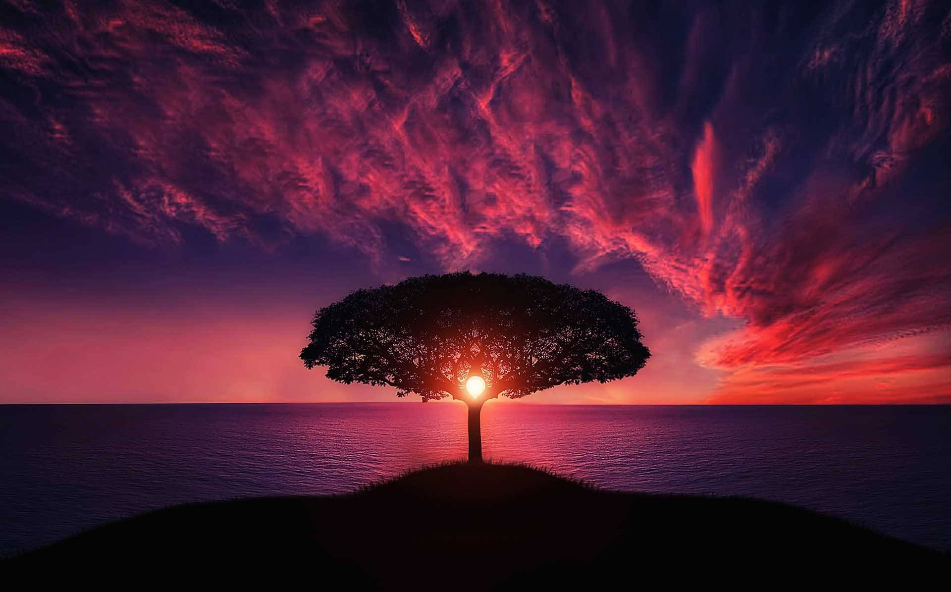 對稱樹木雲背景 壁紙 — 一棵孤樹在戲劇性的日落天空下形成剪影，天空中有火紅和紫色的雲彩，下方是平靜的海水。