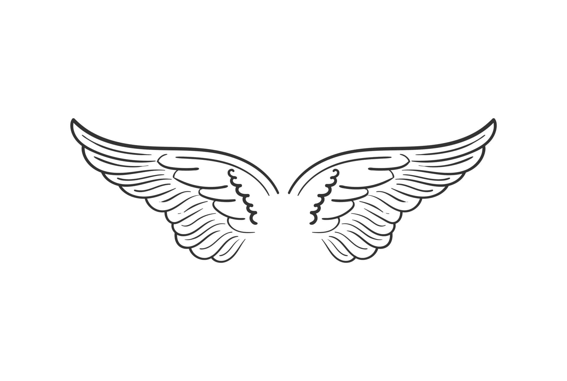 Dove Wings 桌布 壁紙 — 對稱的黑色線條繪畫天使翅膀，帶有詳細的羽毛圖案，背景為純白色。