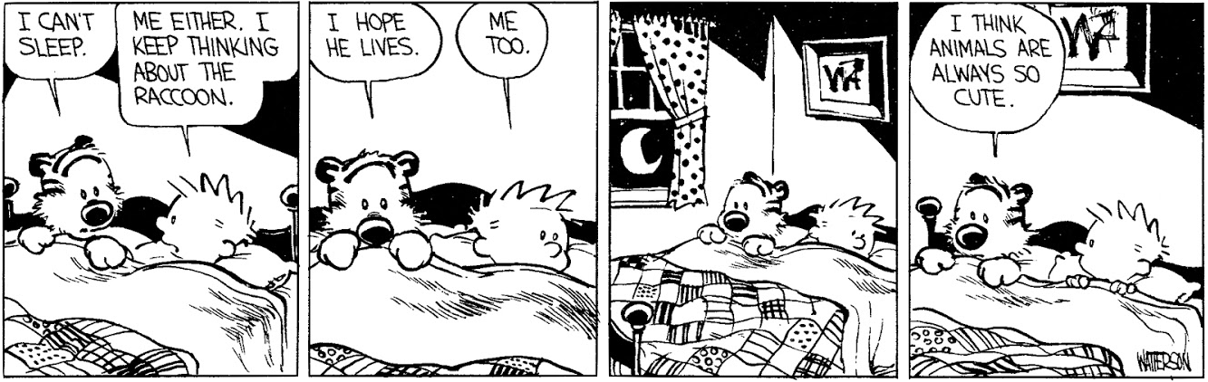 《小 Calvin 與 Hobbes》浣熊擔憂 壁紙 — 兩個孩子晚上在床上擔心浣熊，而其中一個認為動物很可愛。
