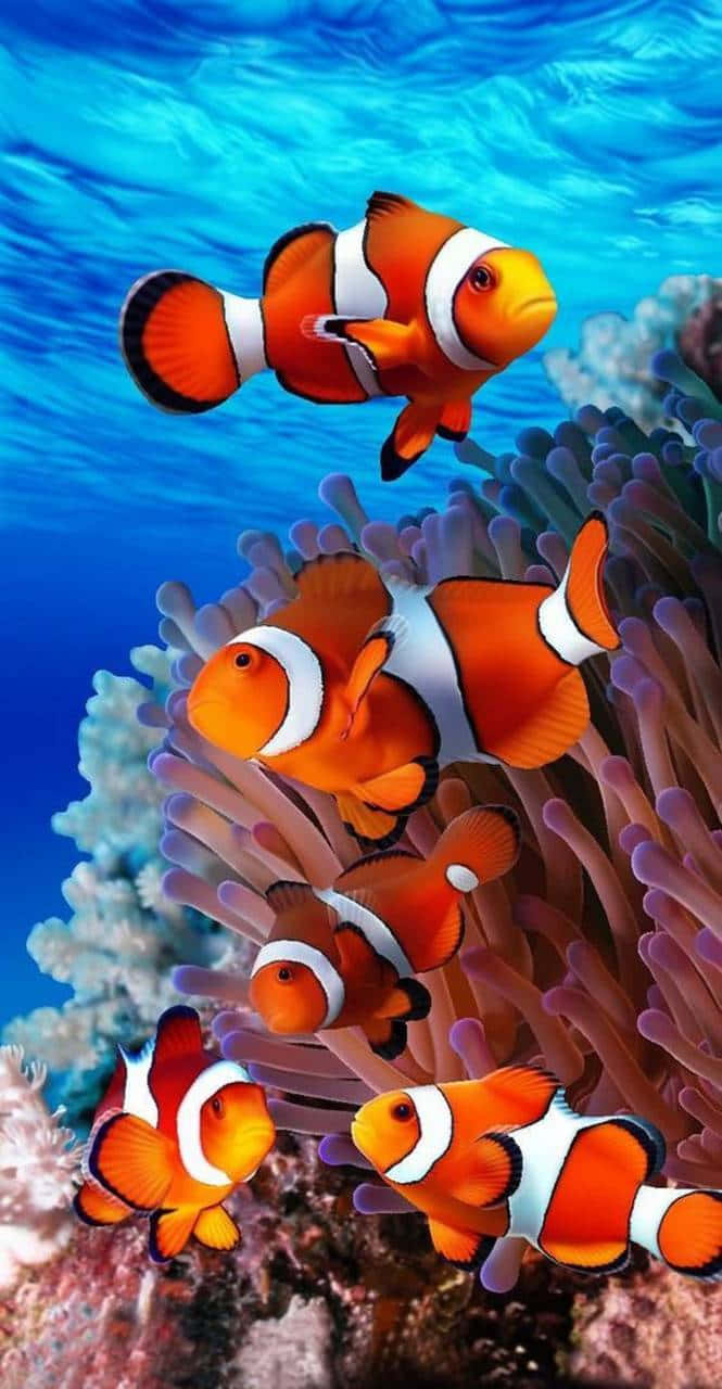 小丑魚在明亮的藍色海水中穿梭於色彩繽紛的珊瑚和海葵之間。