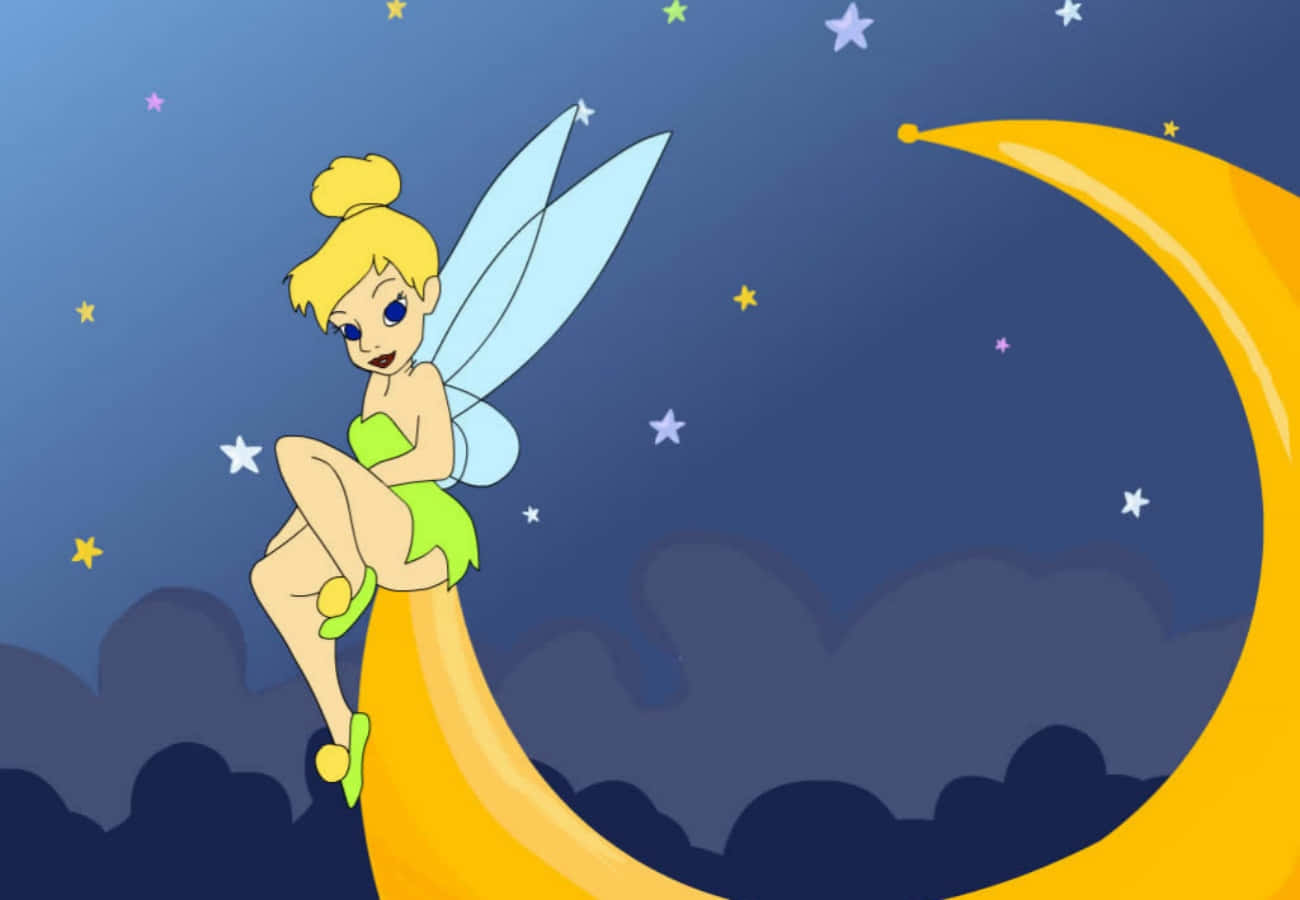 仙子棲息在新月上，夜空中星光閃爍