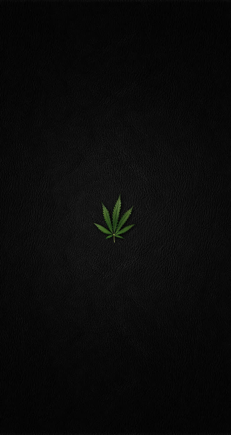 黑色皮革紋理上的綠色大麻葉。