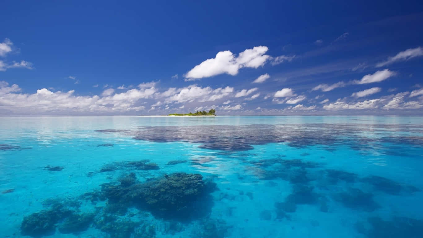 小島1366x768顯示器背景 壁紙 — 清澈碧綠的海水顯露出珊瑚礁，上方是點綴著蓬鬆白雲的湛藍天空。