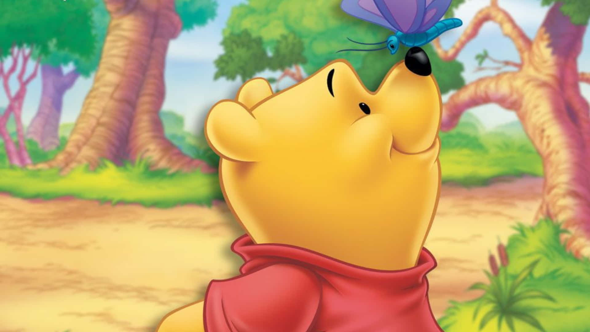 Winnie The Pooh Laptop 桌布 壁紙 — 小熊維尼在陽光明媚的林間空地微笑，一隻紫色蝴蝶輕輕落在他的鼻子上。