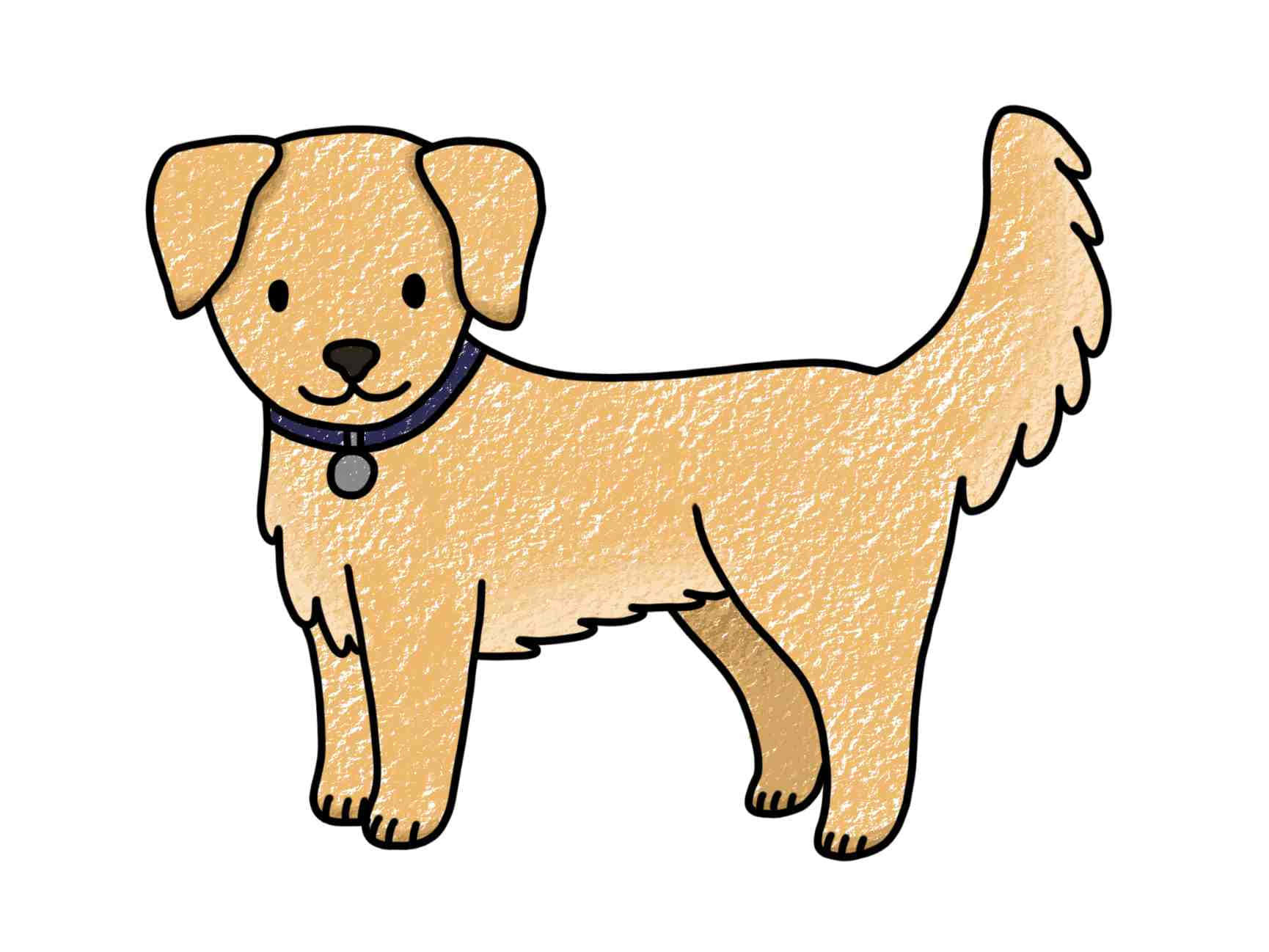 小狗們玩瘋了！#easydog 壁紙 — 一隻快樂的金毛尋回犬幼犬，戴著紫色項圈，在純白色背景前警覺地站立。