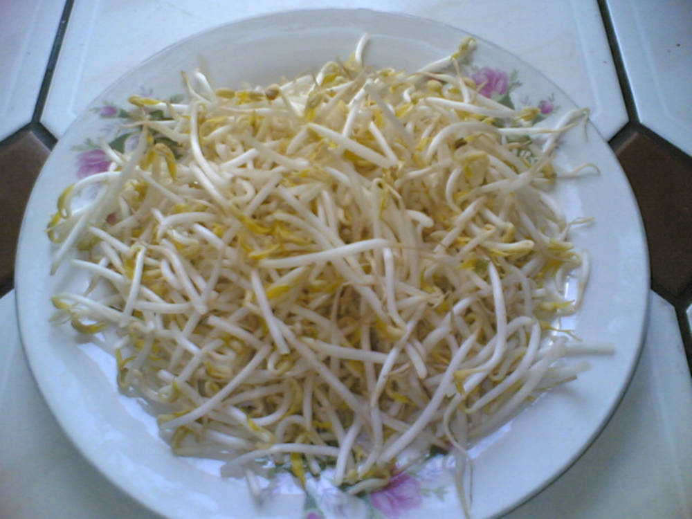 瓷磚枱面上花卉碟子裡的新鮮芽菜。