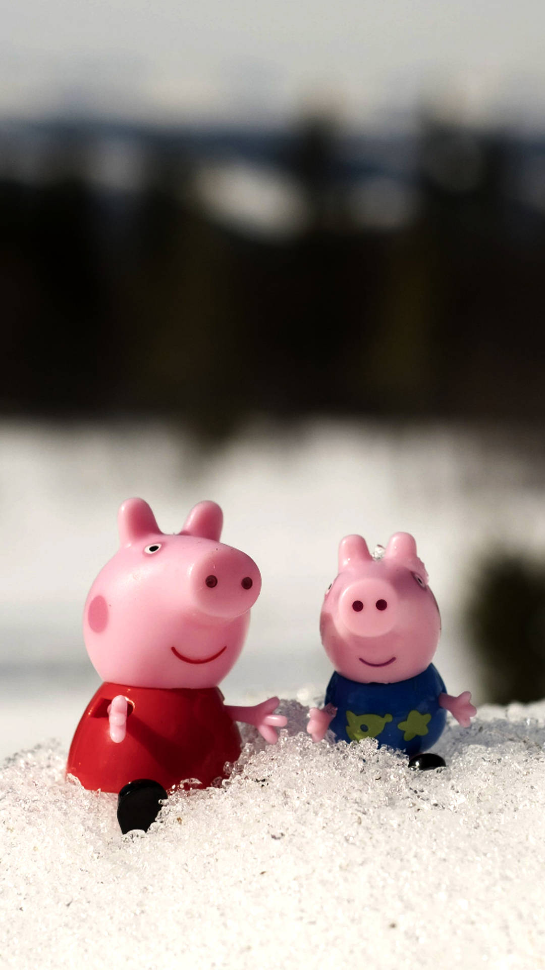 兩個 Peppa Pig 玩具坐喺雪中，背景係森林。