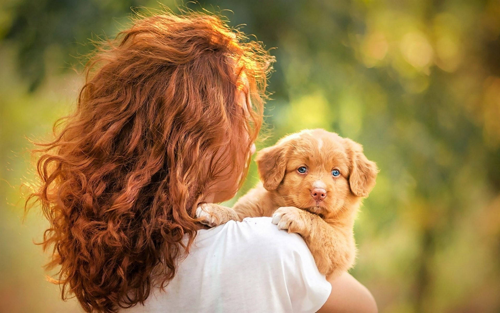 小金毛幼犬與主人 壁紙 — 一位擁有火紅捲髮的女性，在陽光明媚的綠色背景下，抱著一隻有著驚人藍眼睛的金色小狗。