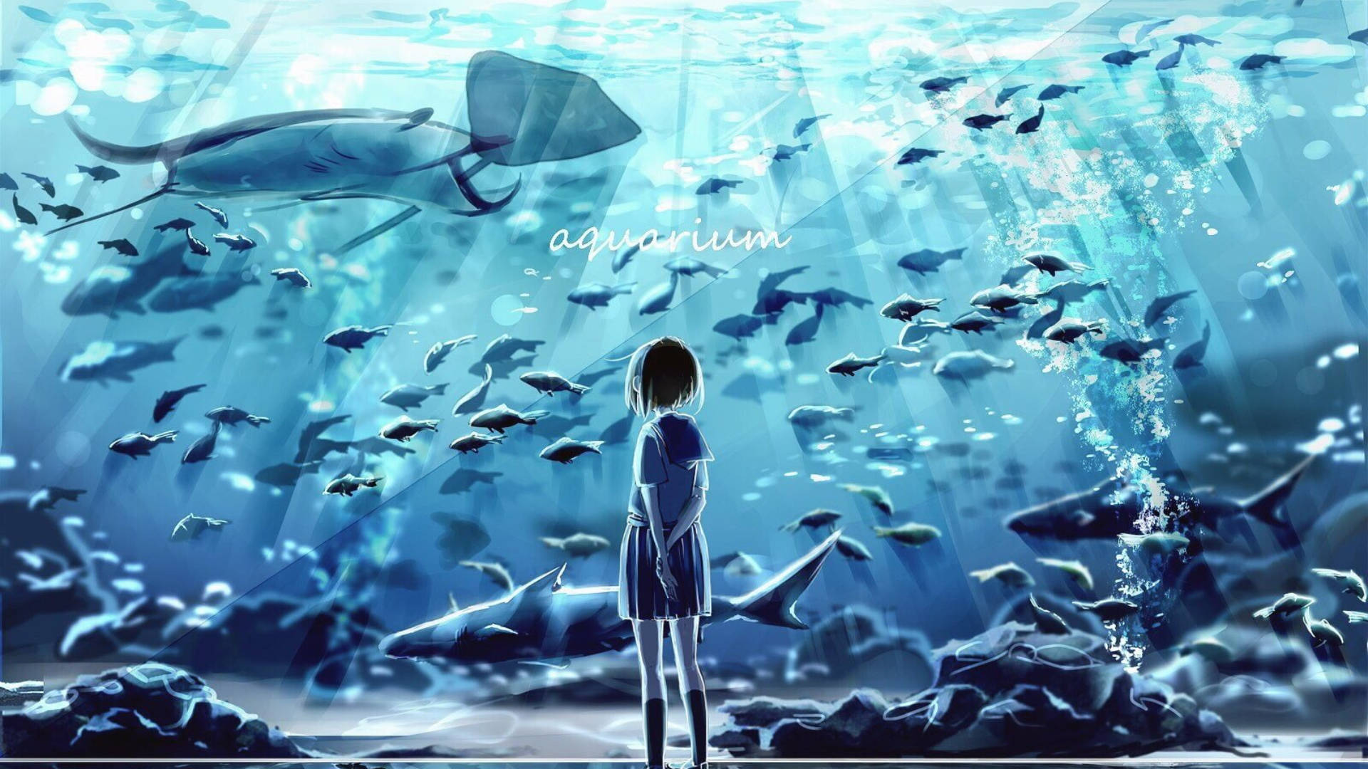 少女欣賞大型水族館 壁紙 — 一個穿著校服的年輕女孩站在一個巨大的水族箱前，裡面充滿了鯊魚和魚類，沐浴在藍光中。