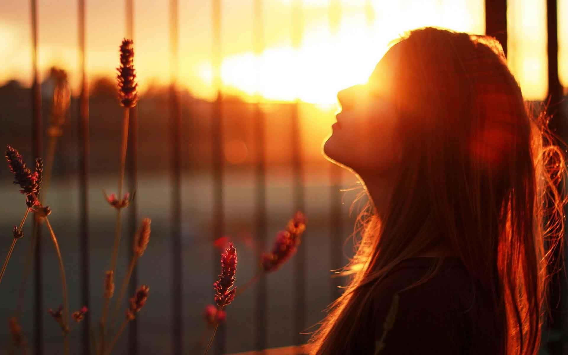 女人剪影仰望金色夕陽，旁邊有薰衣草花朵。