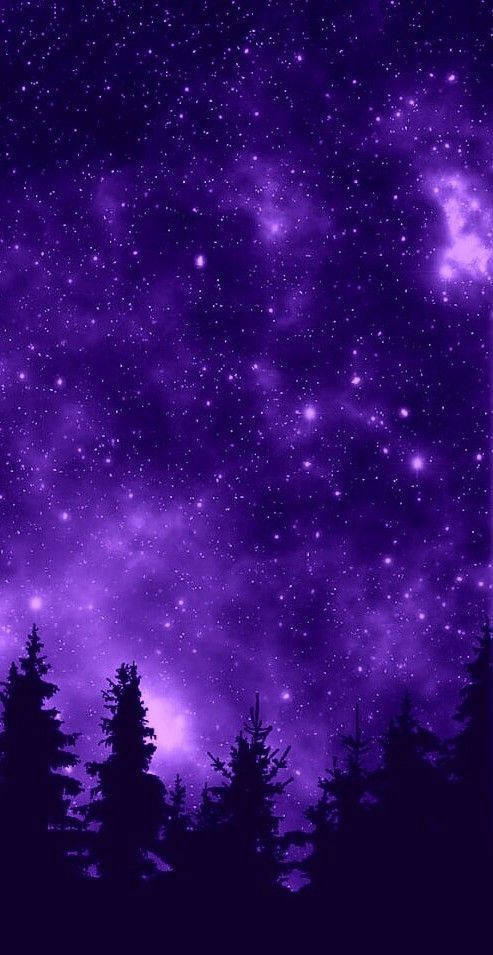 深色松樹映襯著帶有發光星雲的紫色星空夜空。