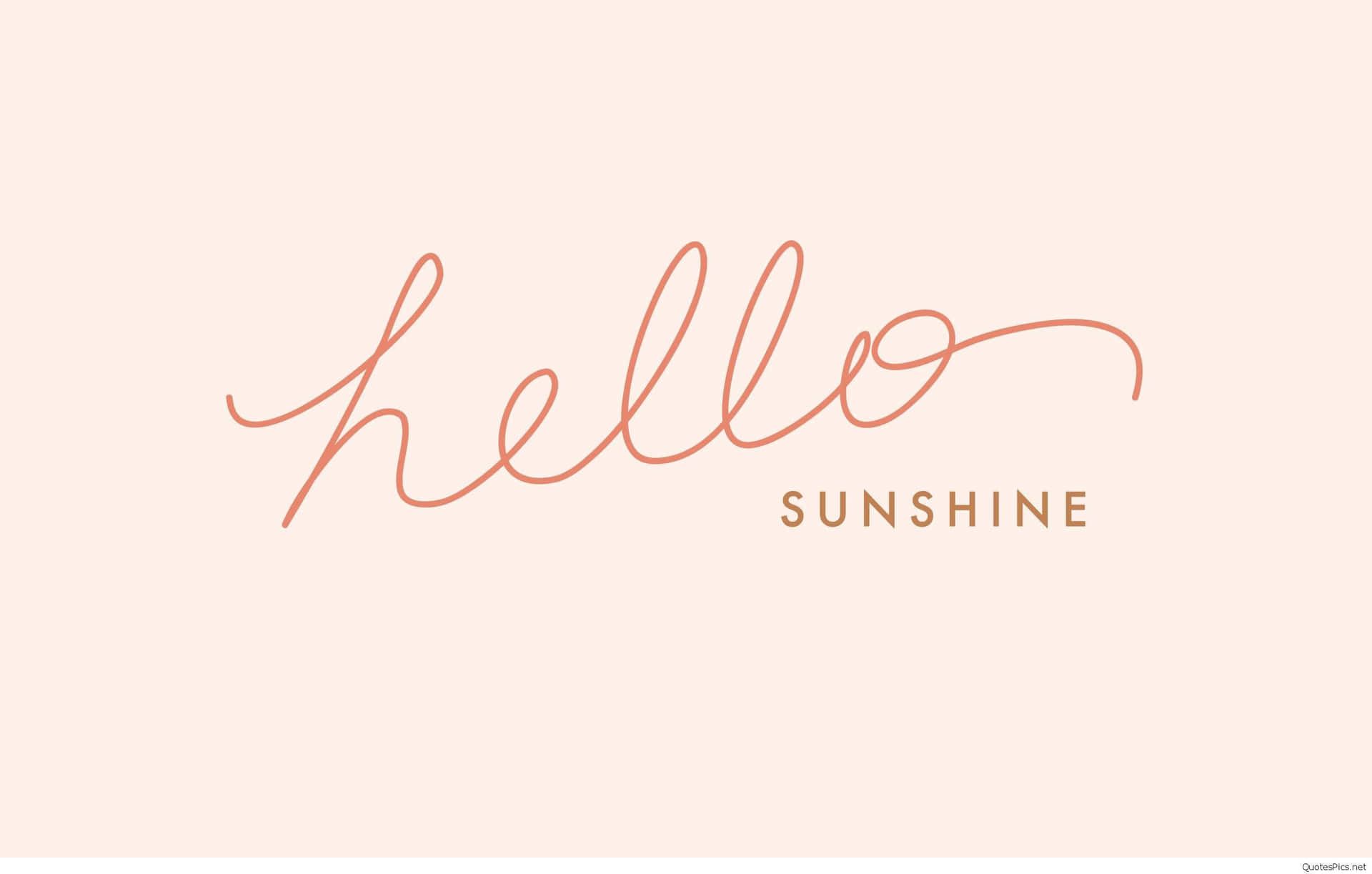 桃色背景上以銅色手寫體呈現的hello sunshine文字