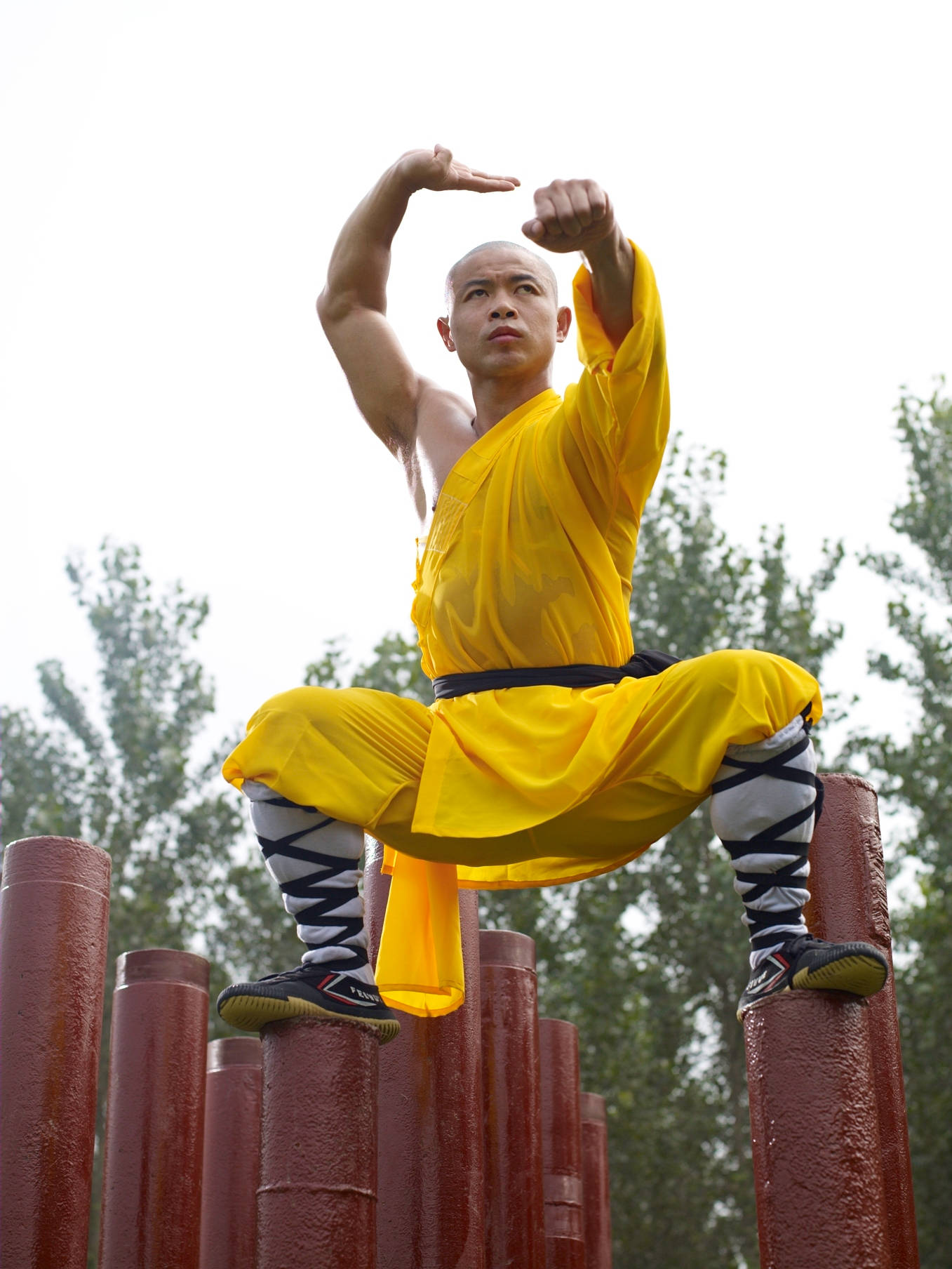 一位身穿黃色長袍的僧侶在戶外的紅色柱子上擺出武術姿勢。