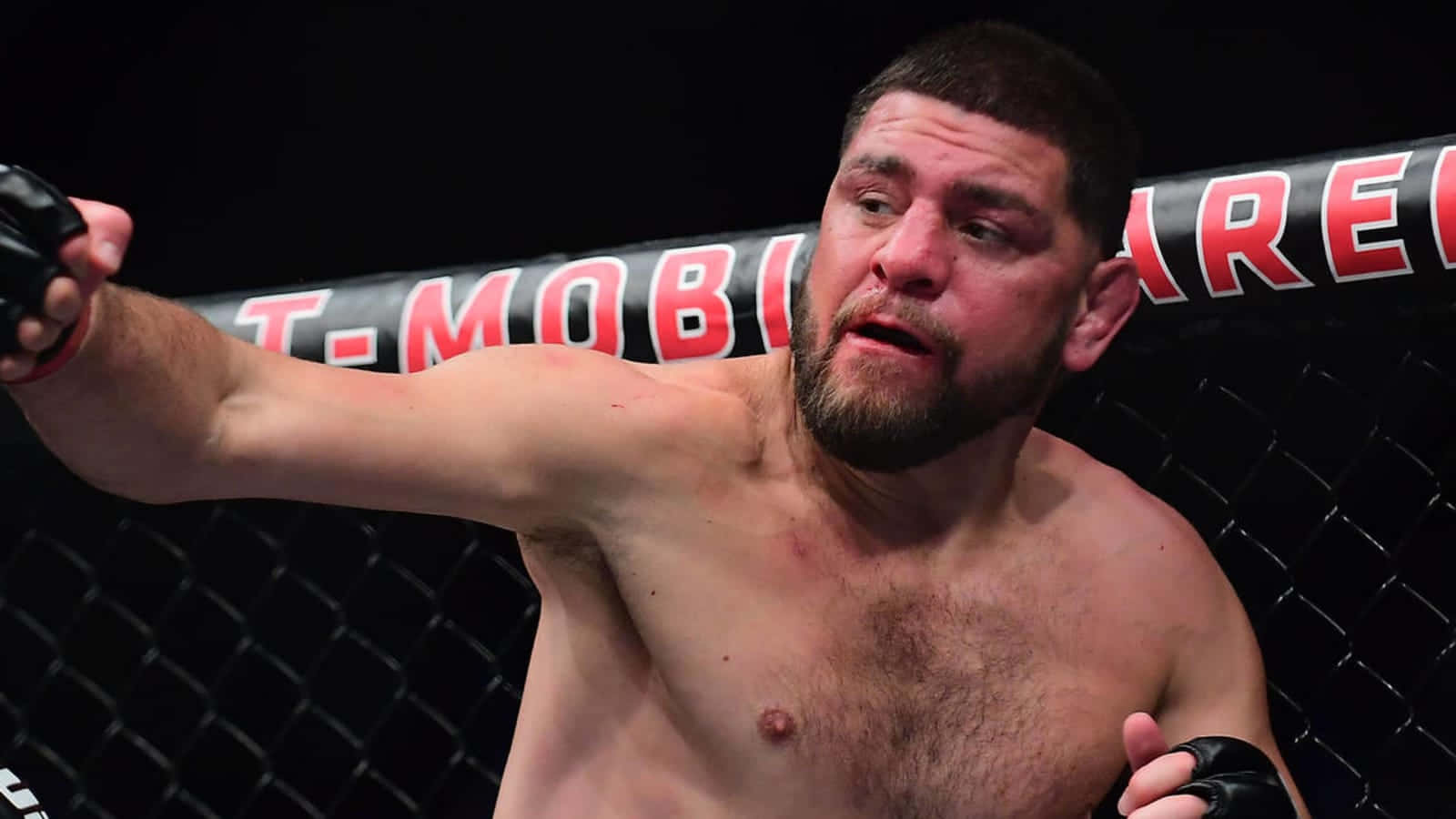 MMA拳手在T-Mobile Arena的八角籠內揮拳。