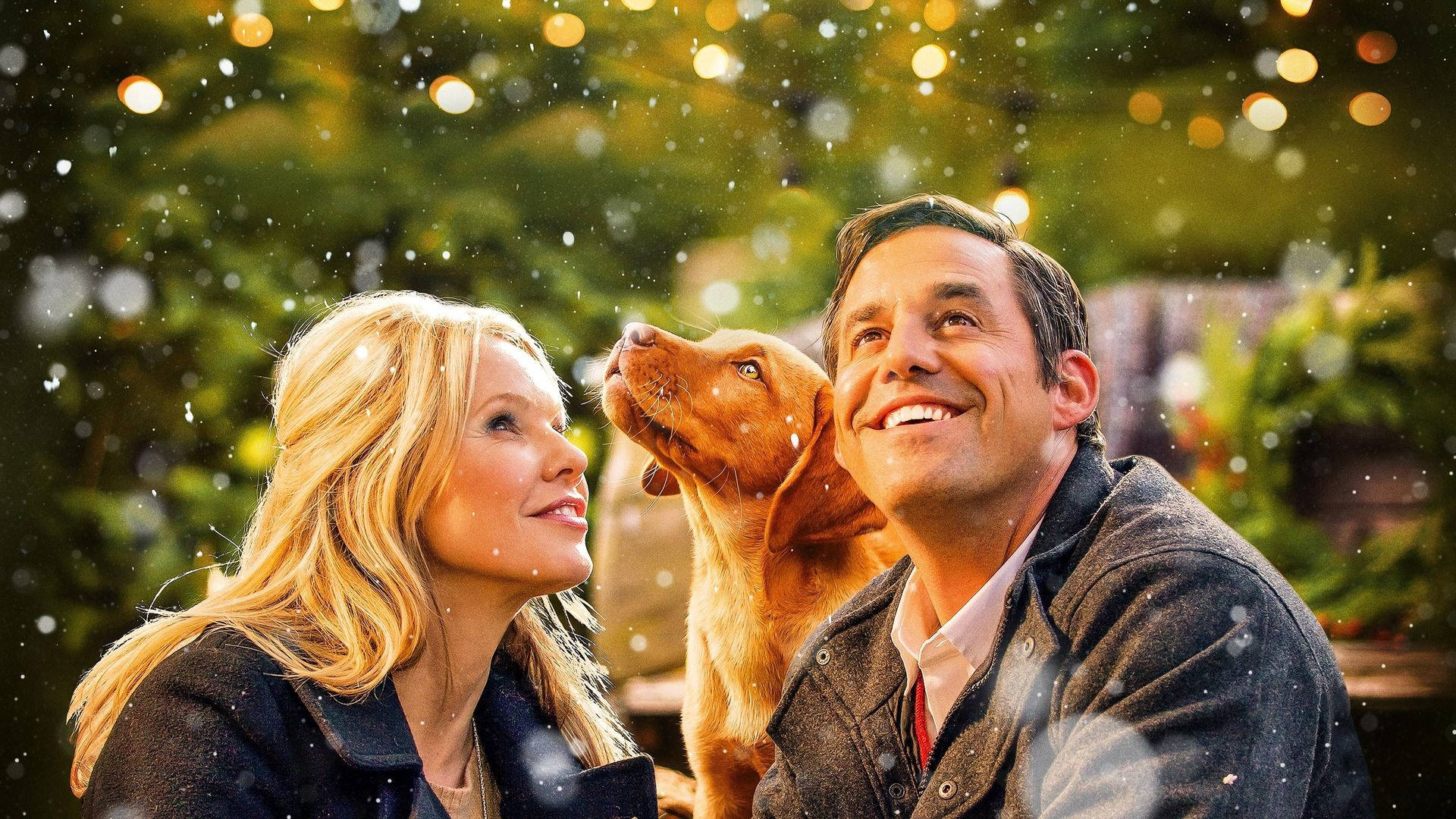 尼古拉斯·布蘭登《A Golden Christmas》電影海報 壁紙 — 一對微笑的情侶和他們的金毛犬抬頭仰望，雪花飄落，背景是閃爍的燈串和綠植。