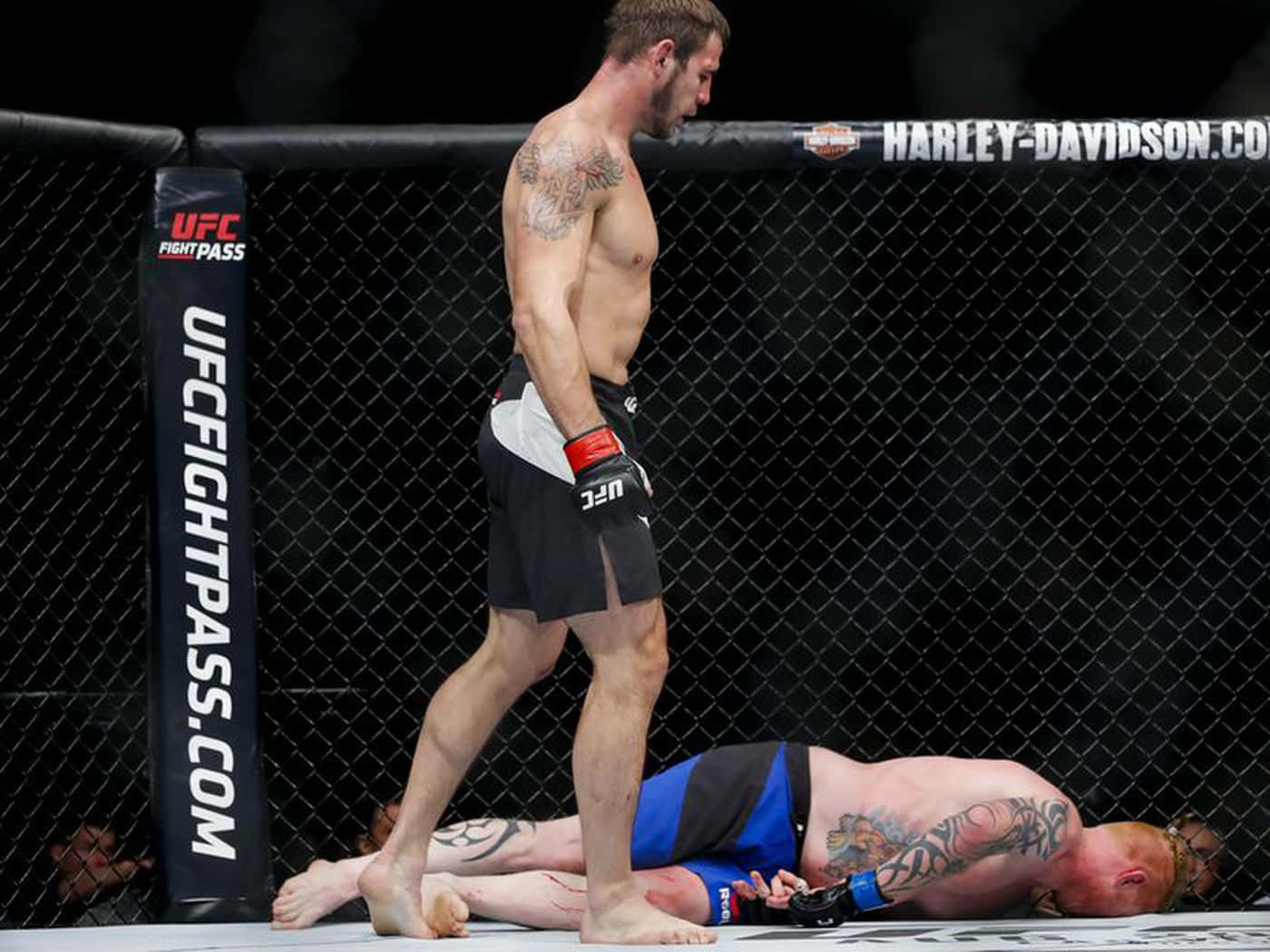 尼基塔·克里洛夫戰鬥勝利 壁紙 — 一位勝利的UFC拳手在殘酷比賽後站在八角籠內被擊敗的對手之上。