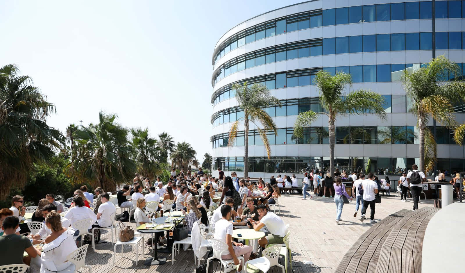 尼斯的寧靜晨光 壁紙 — 人群在現代玻璃建築和棕櫚樹旁的戶外咖啡館露台上享受陽光明媚的一天。